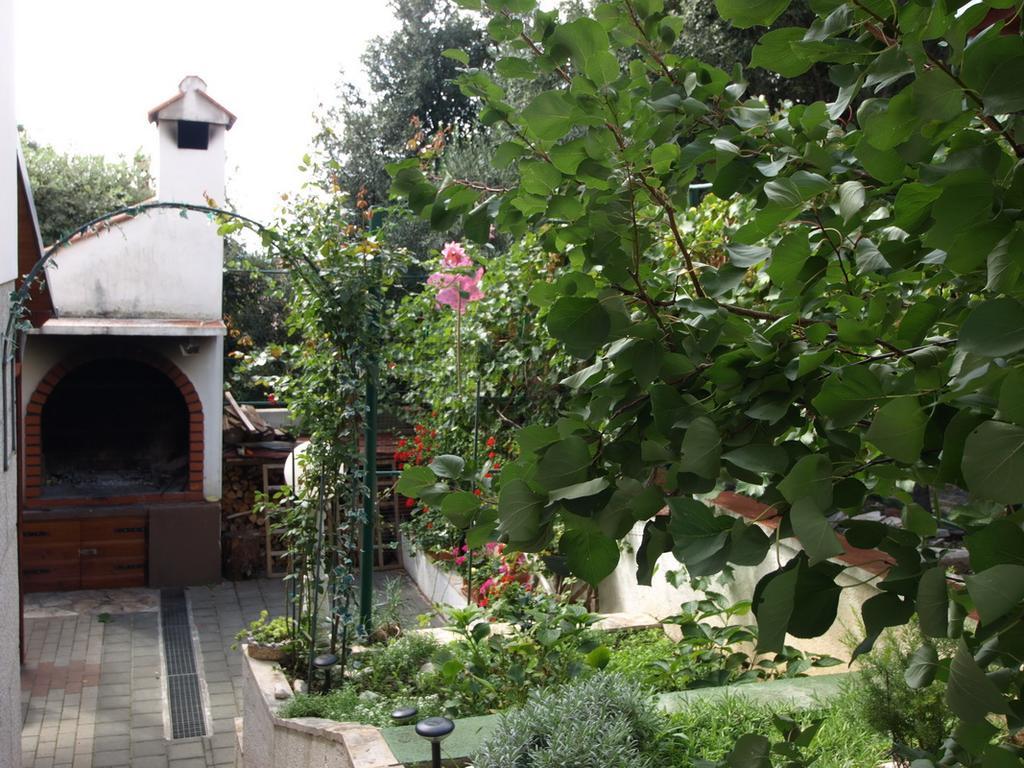 Villa Brucker Kozino Luaran gambar